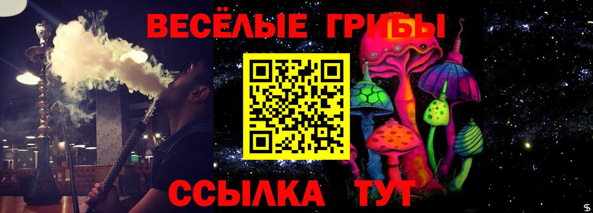 Псилоцибиновые грибы Cubensis Сочи