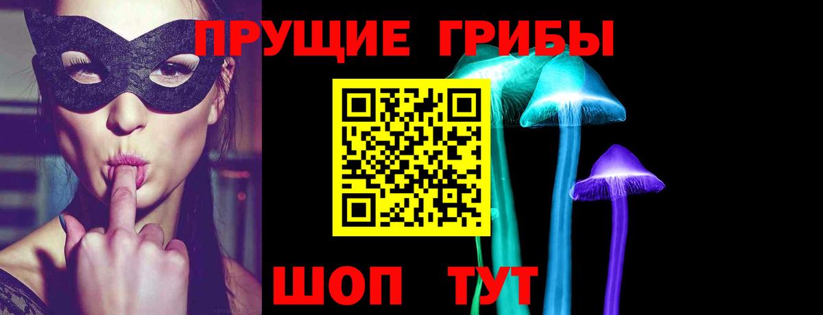 Сочи  Галлюциногенные грибы Cubensis  Вход с VPN 
